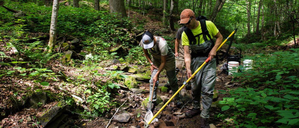 Summer Research students working on agricultural streams.